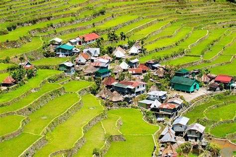 stl ifugao|STL Ifugao Province .